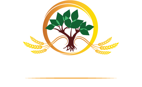 Cervejaria Ficus - Cervejas Artesanais